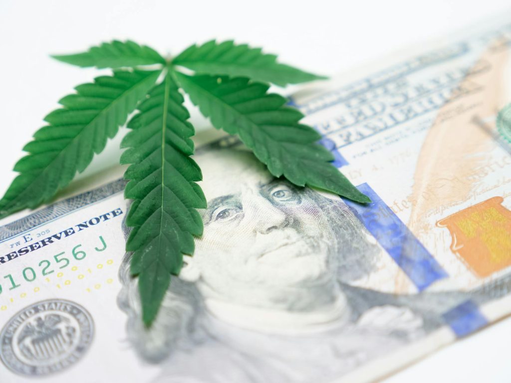 Close-up of a cannabis leaf resting on an American dollar bill, symbolizing the intersection of finance and cannabis culture.